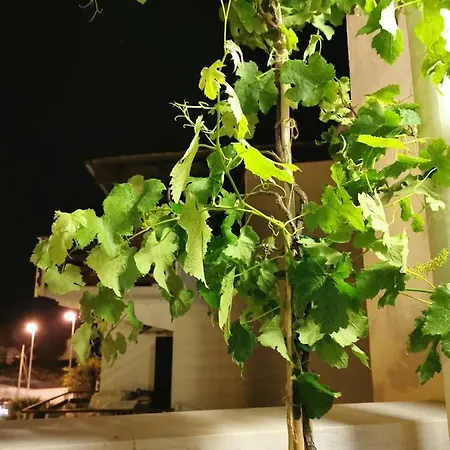 Casa Mari Lägenhet